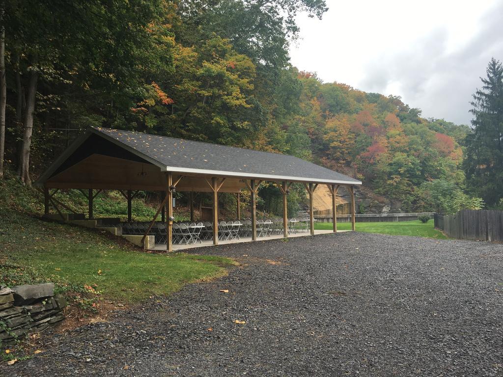 Cook Mansion Bed & Breakfast Montour Falls Екстер'єр фото